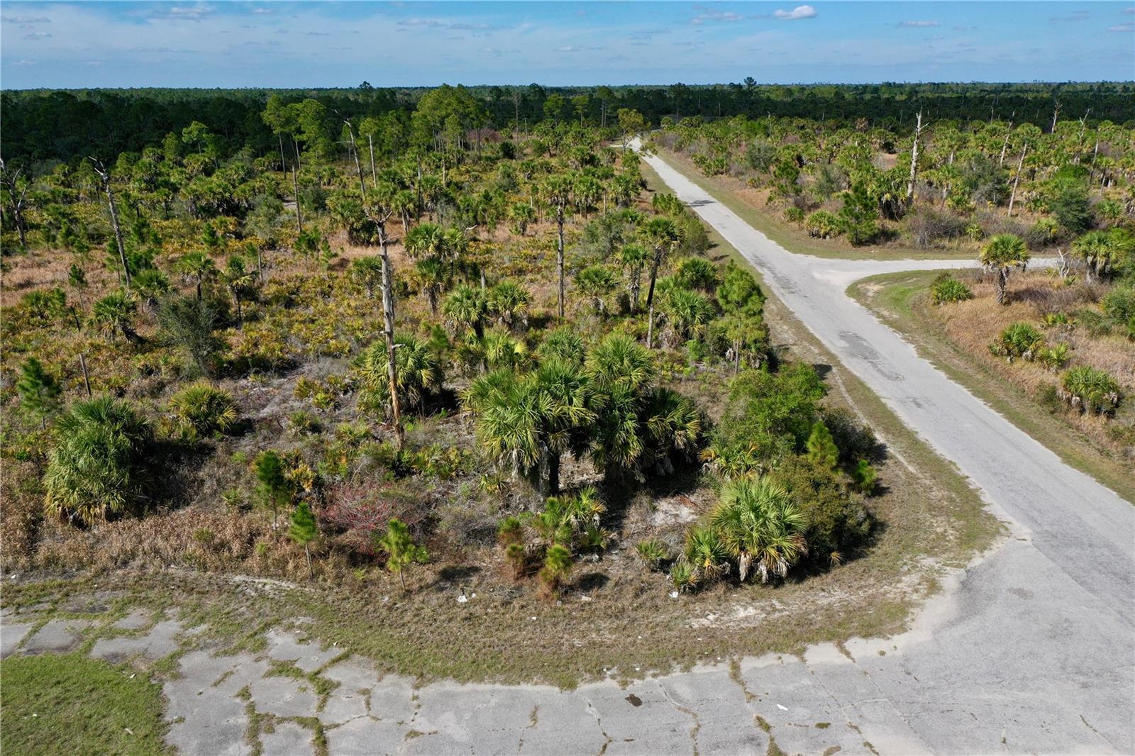 Wild Court, FL