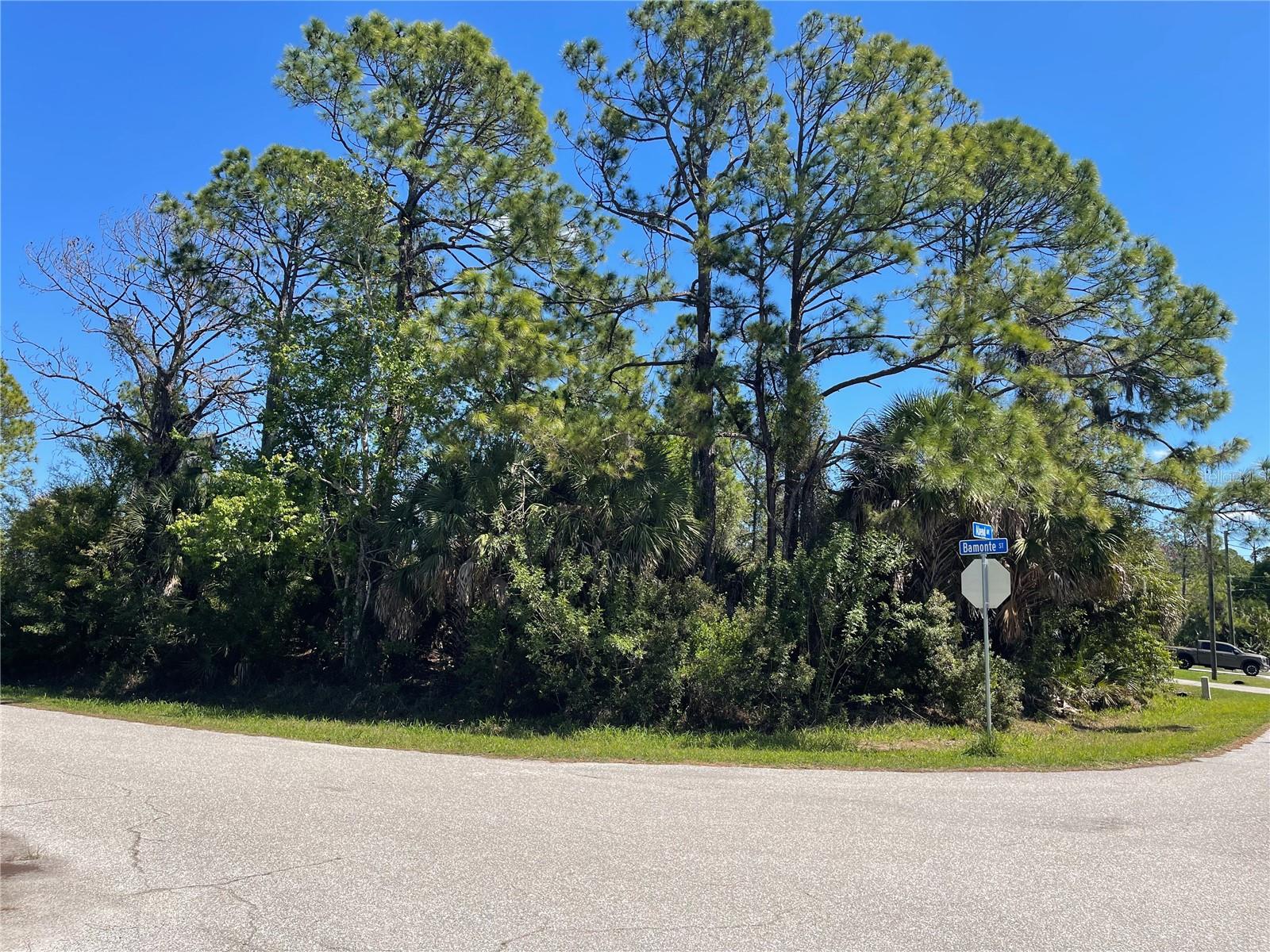 Lot 6 Bamonte St, FL