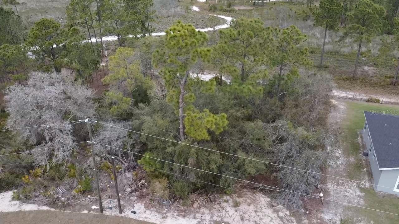 1226 Apopka Lane, FL