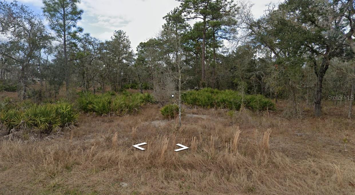 11353 Quill Avenue, FL