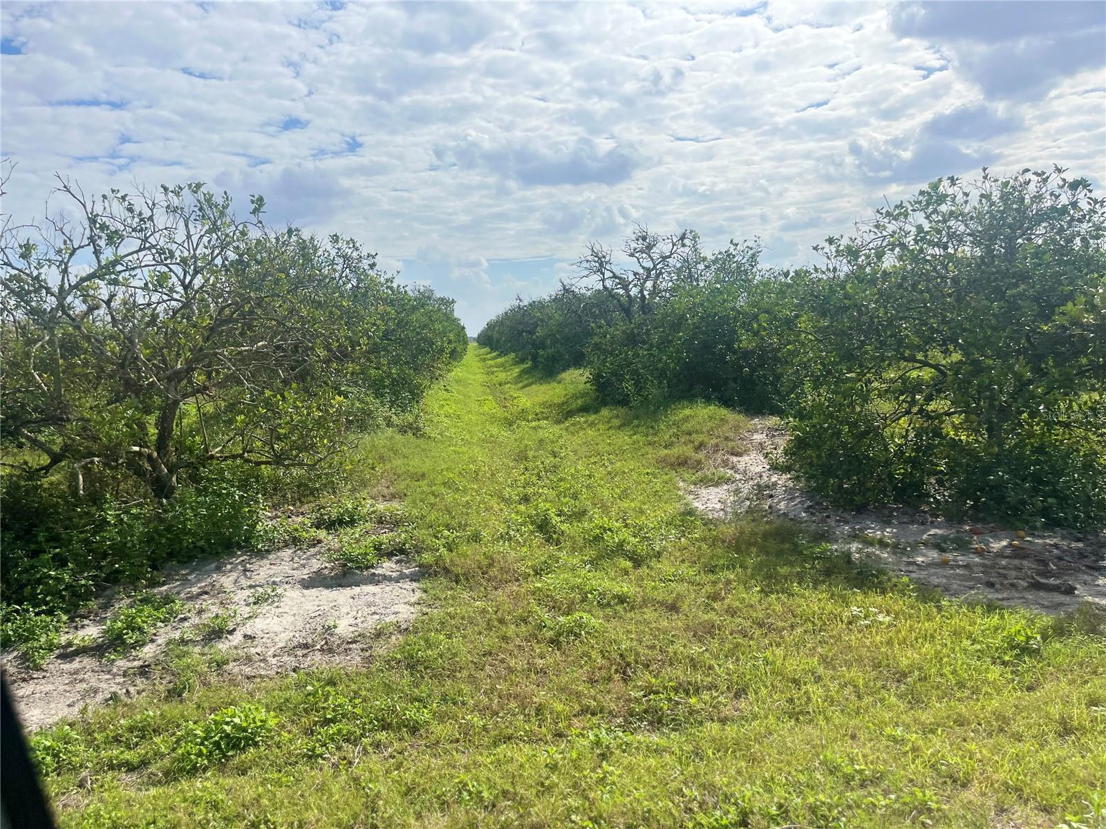 Ne Hwy 70, FL