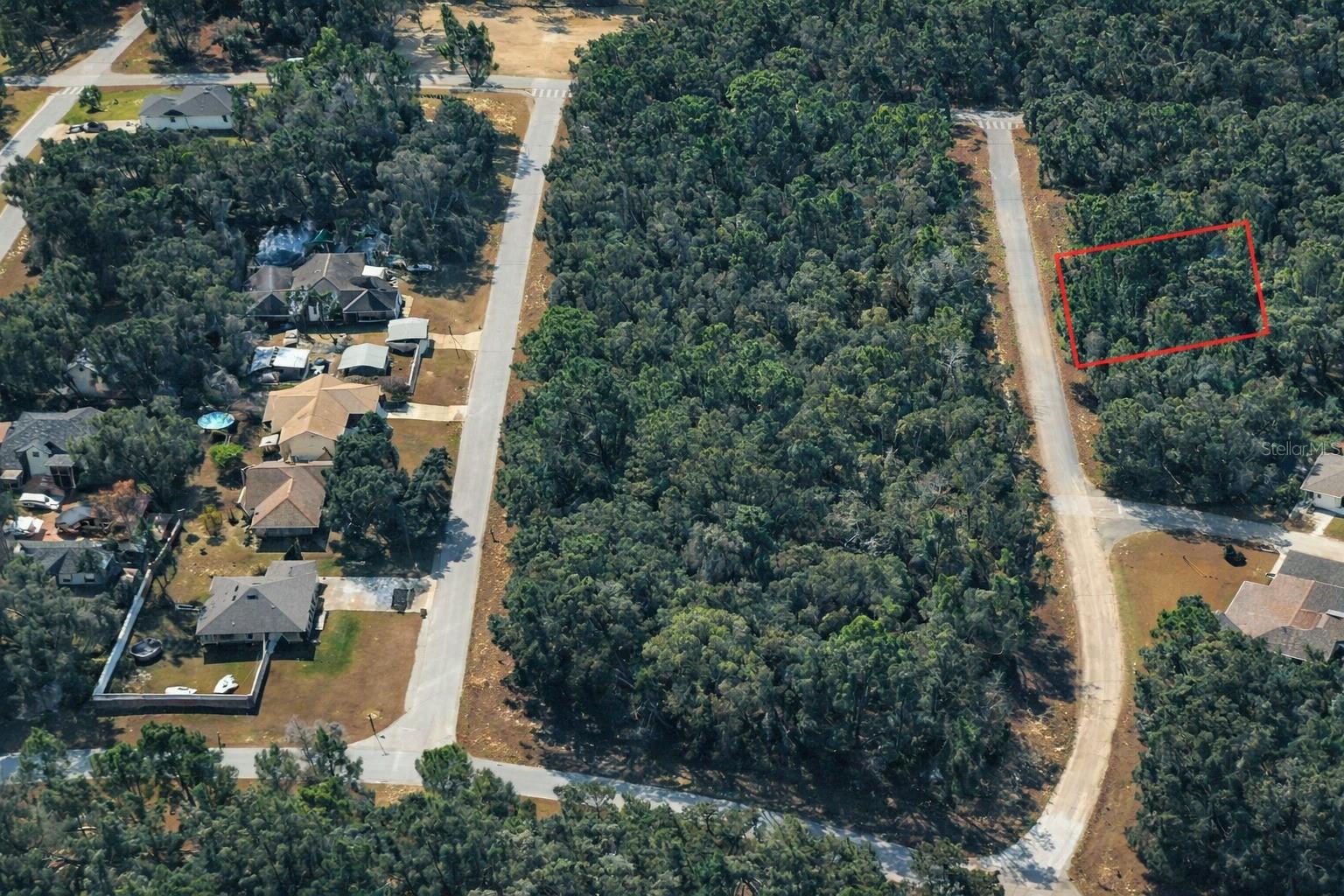 11328 N Cathy Ter, FL