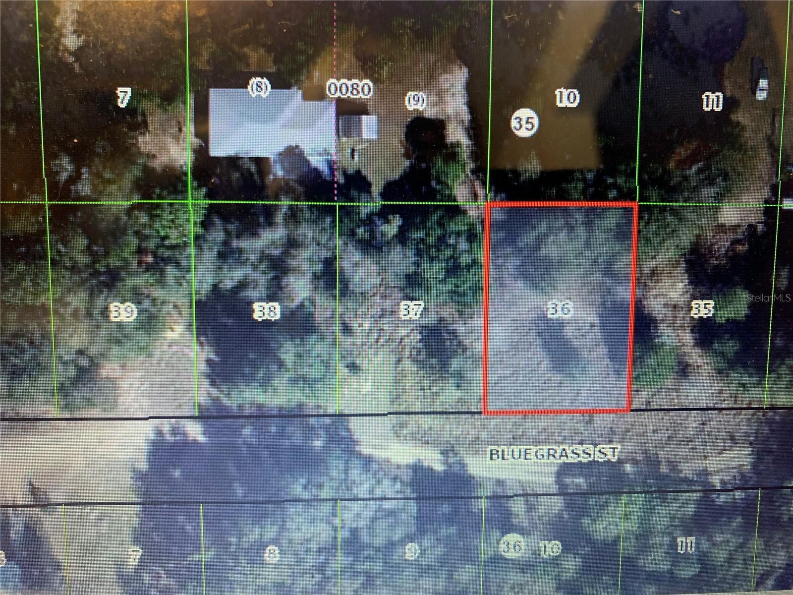 2406 Bluegrass Street, FL