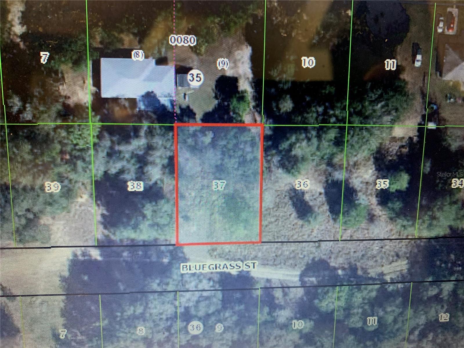 2408 Bluegrass Street, FL