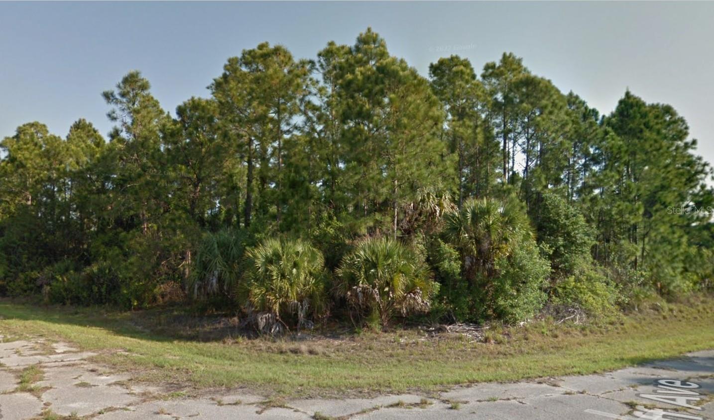 Lot 18 Briarcliff Avenue, FL
