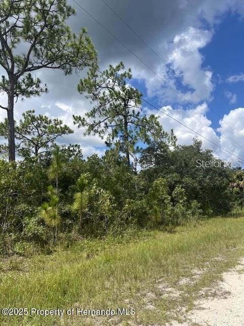 10194 Yellow Frog Avenue, FL