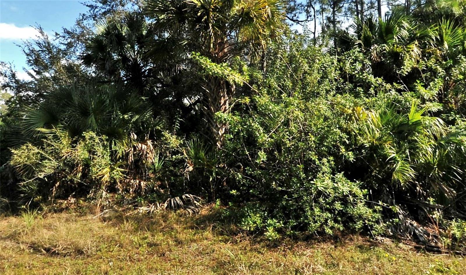 Bolus, FL