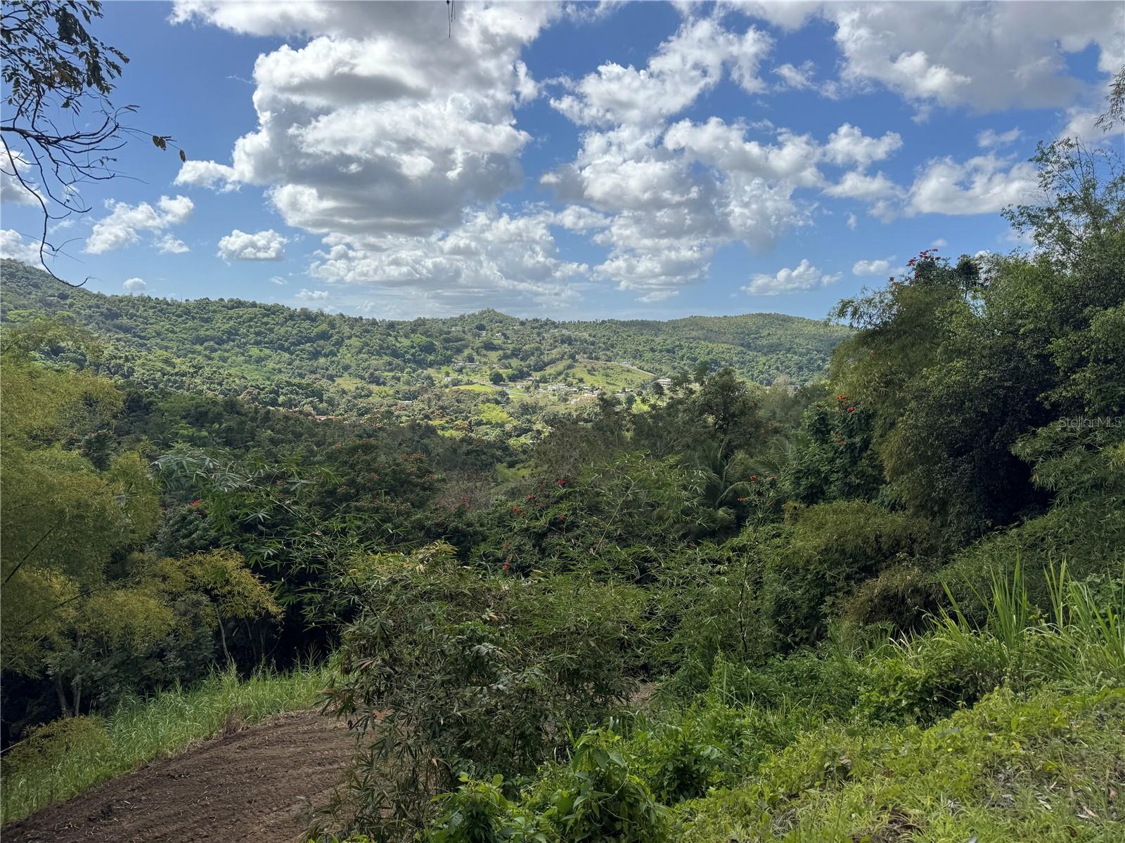 Carr 857 Km 6.3, PR