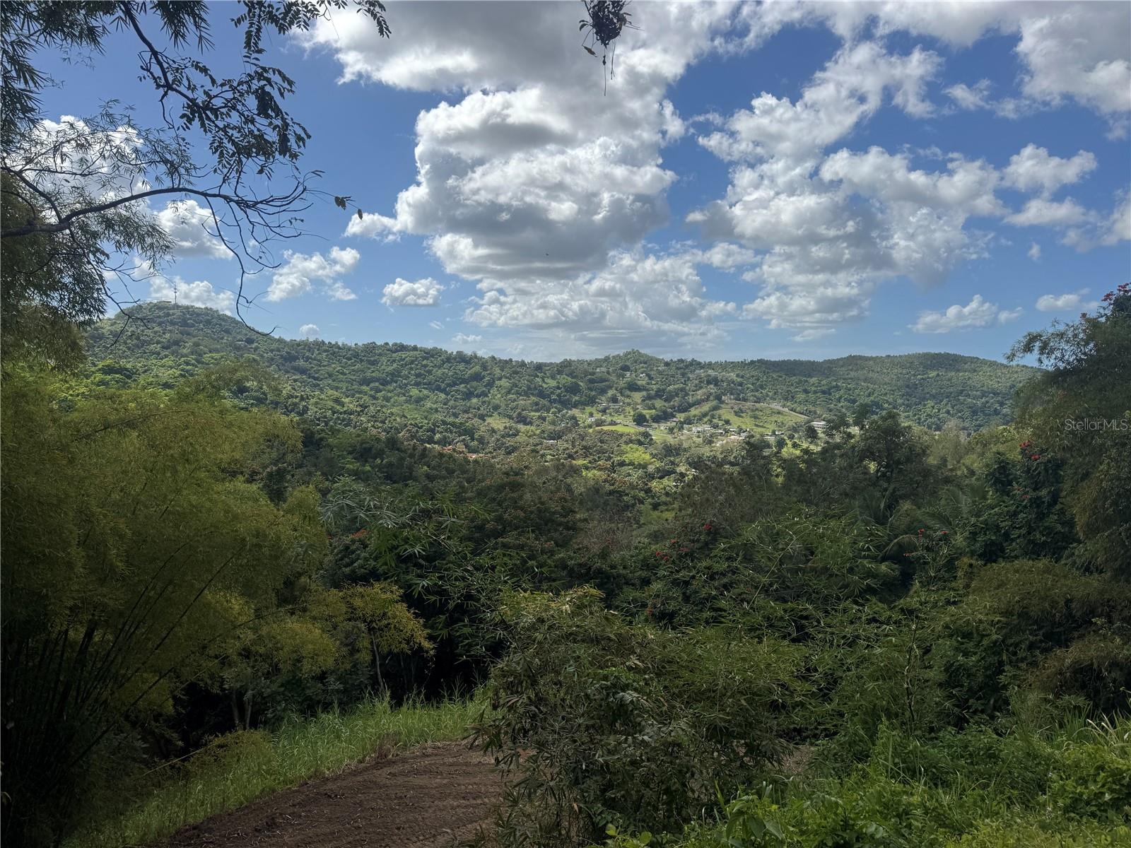 Carr 857 Km 6.3, PR