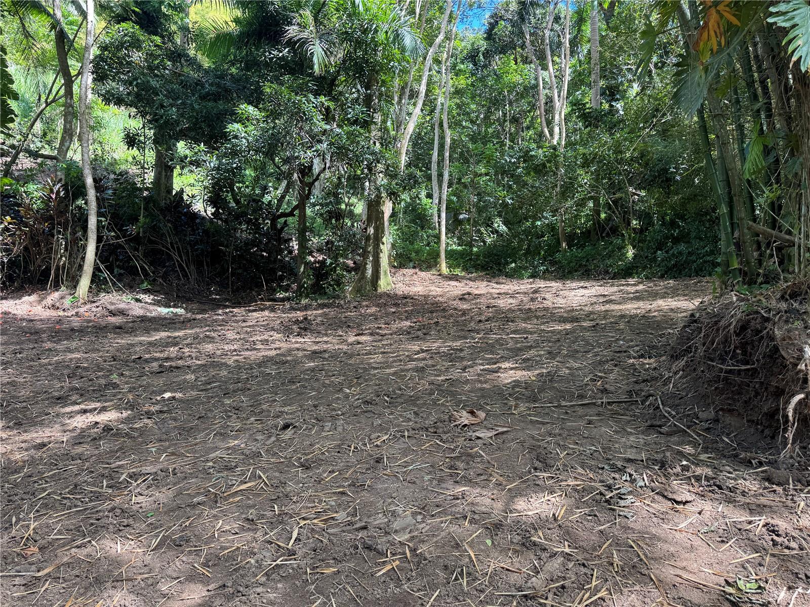 Carr 857 Km 6.3, PR
