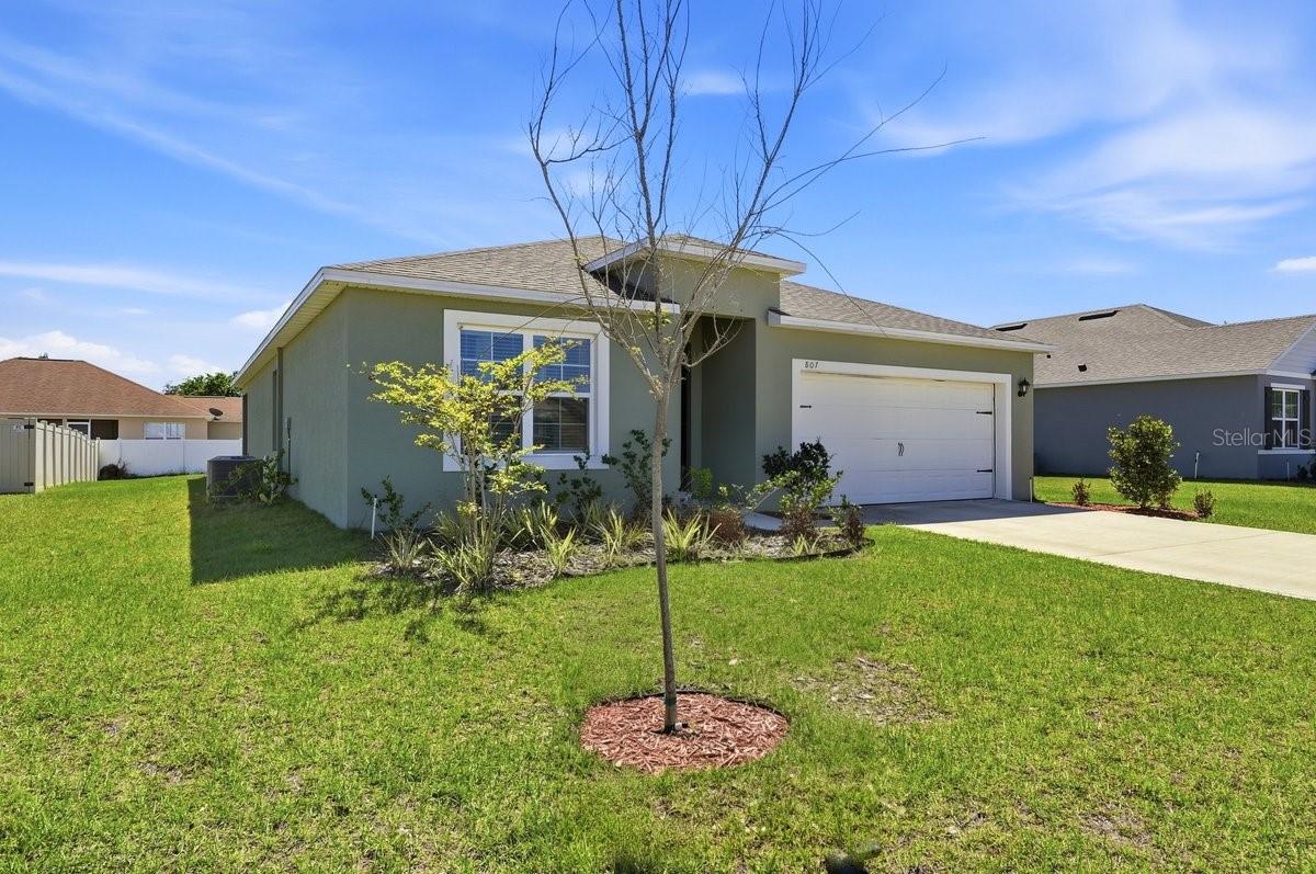 807 Auburn Grove Court, FL
