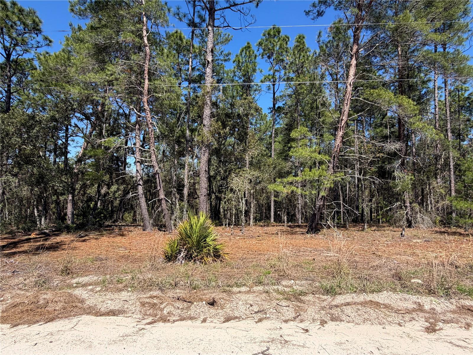 00000 58th Place, FL