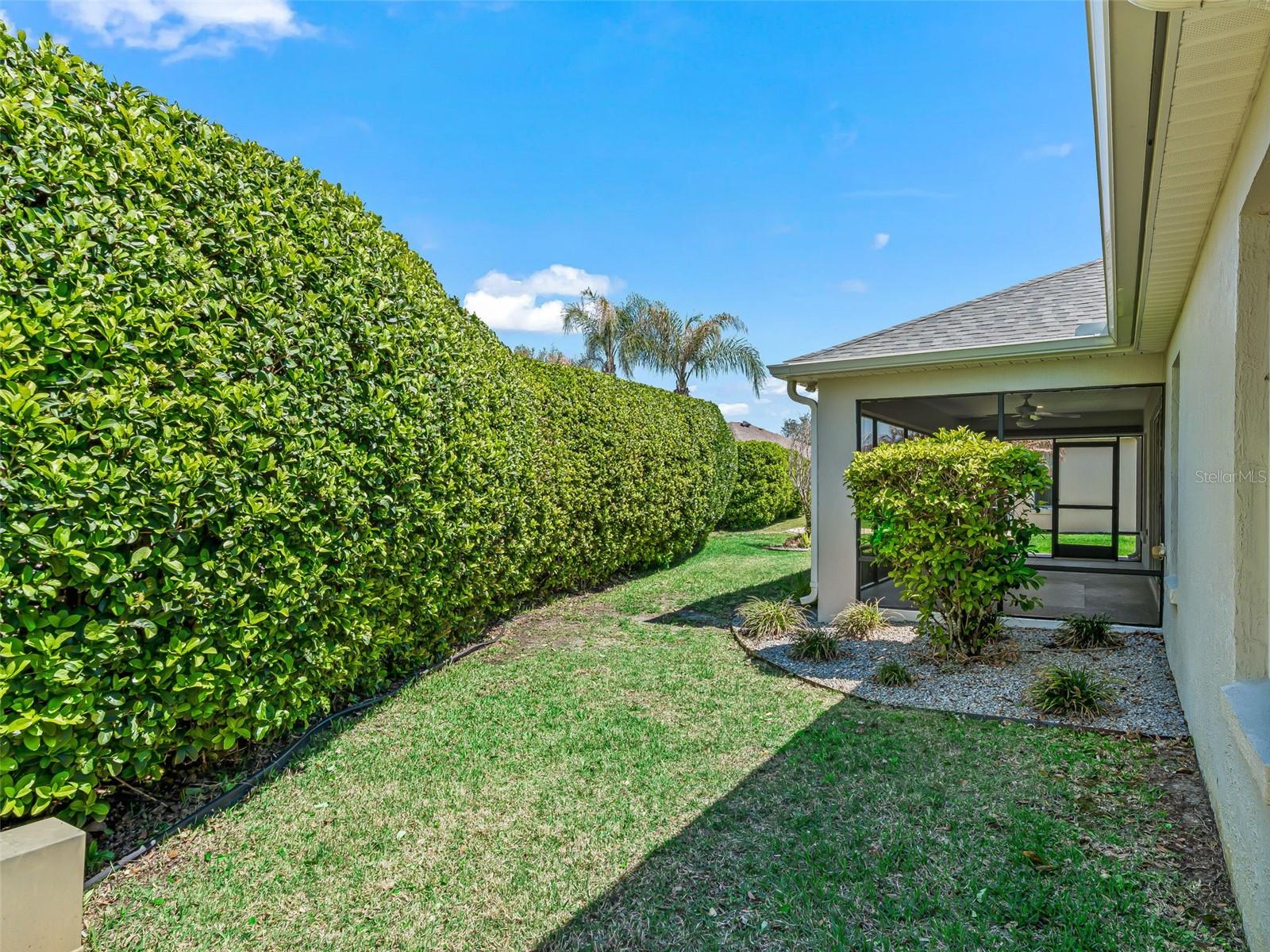1569 Olar Court, FL