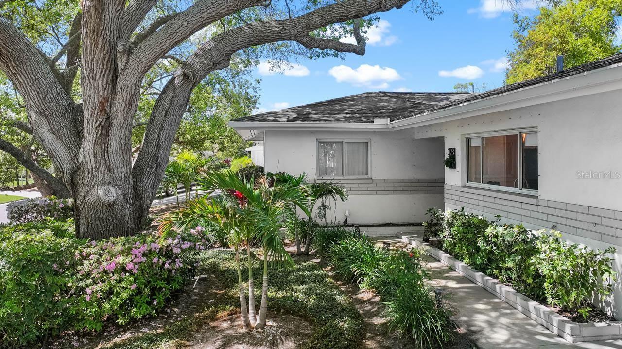 3723 Orchard Grove Lane, FL