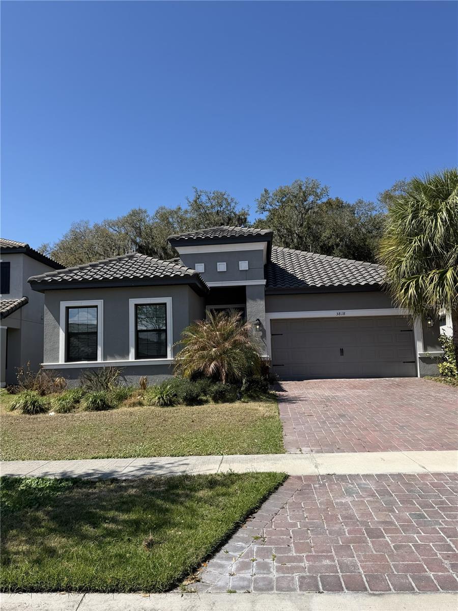 3818 Rose Mallow Drive, FL