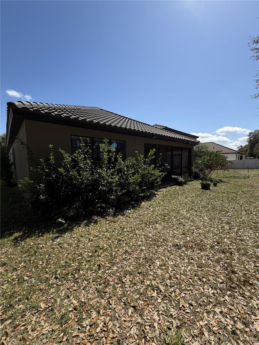 3818 Rose Mallow Drive, FL