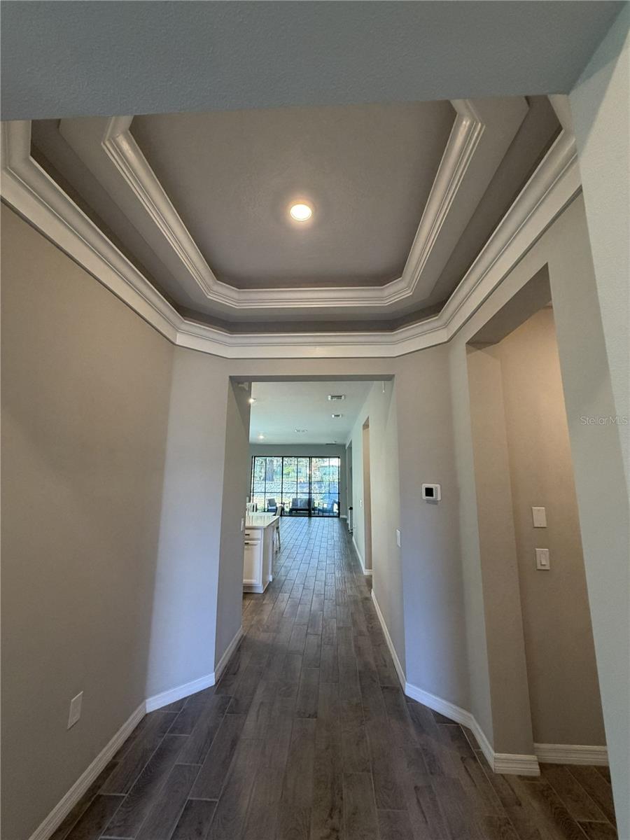 3818 Rose Mallow Drive, FL