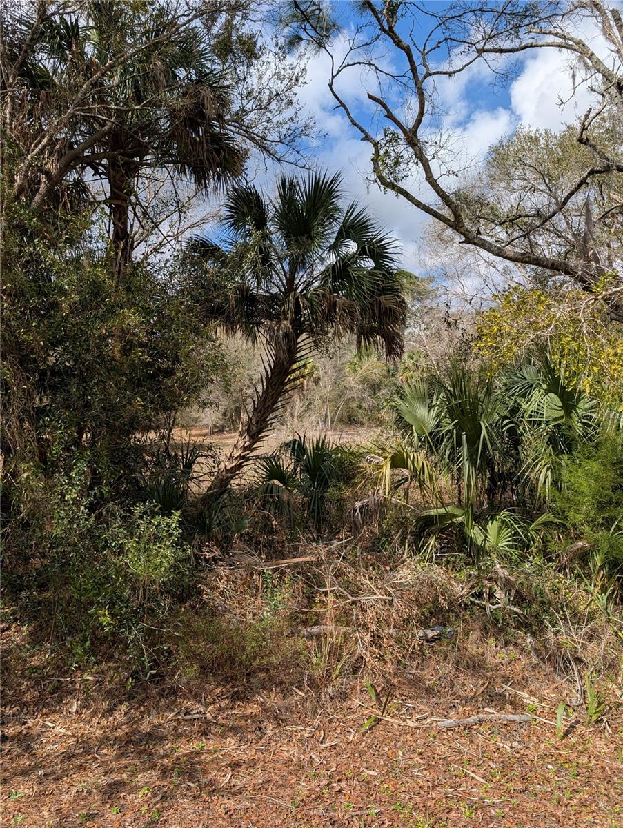 Lorie St, FL