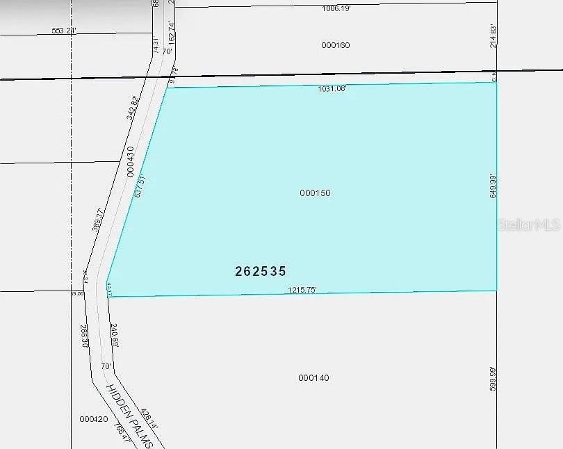 1102 Hidden Palms Drive, FL