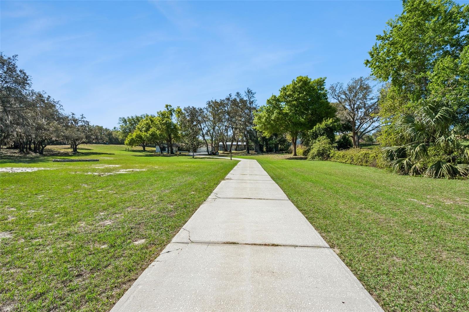 15436 Vinola Drive, FL