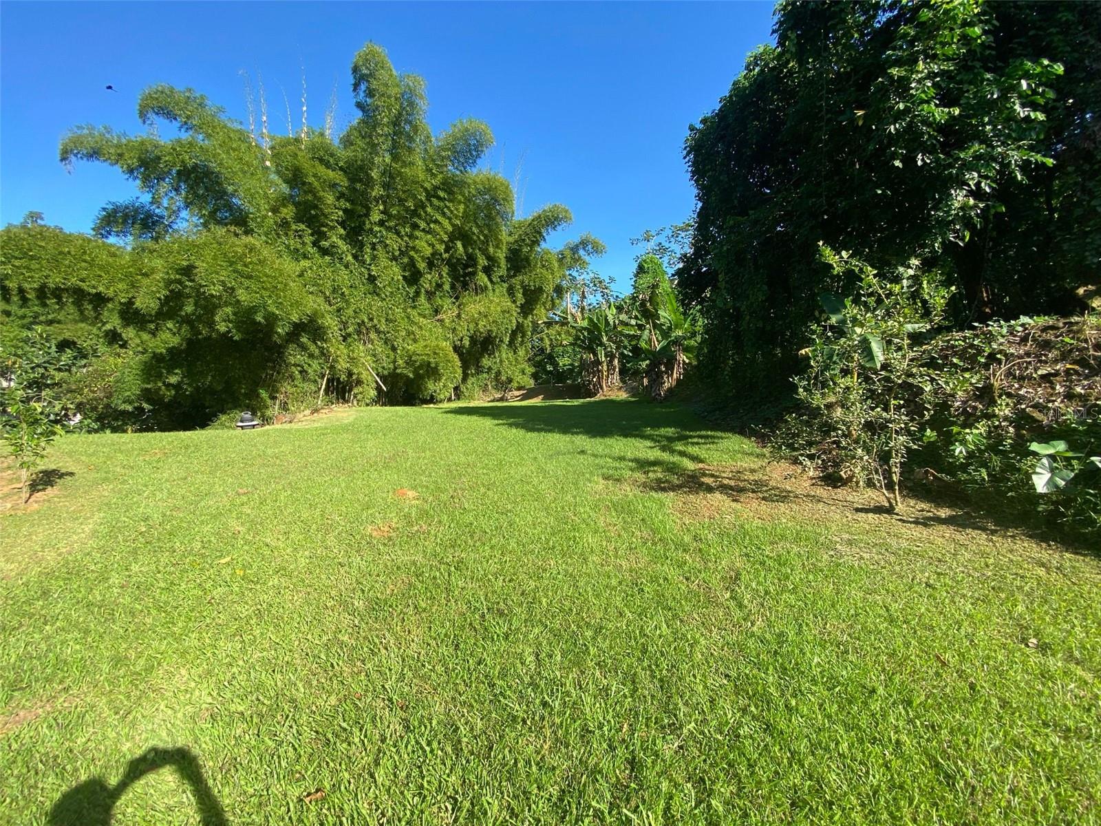 Carr. 108, Camino Adelina Bo. RíO CañAs, PR