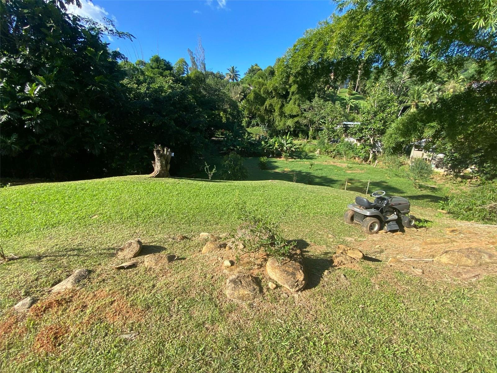 Carr. 108, Camino Adelina Bo. RíO CañAs, PR