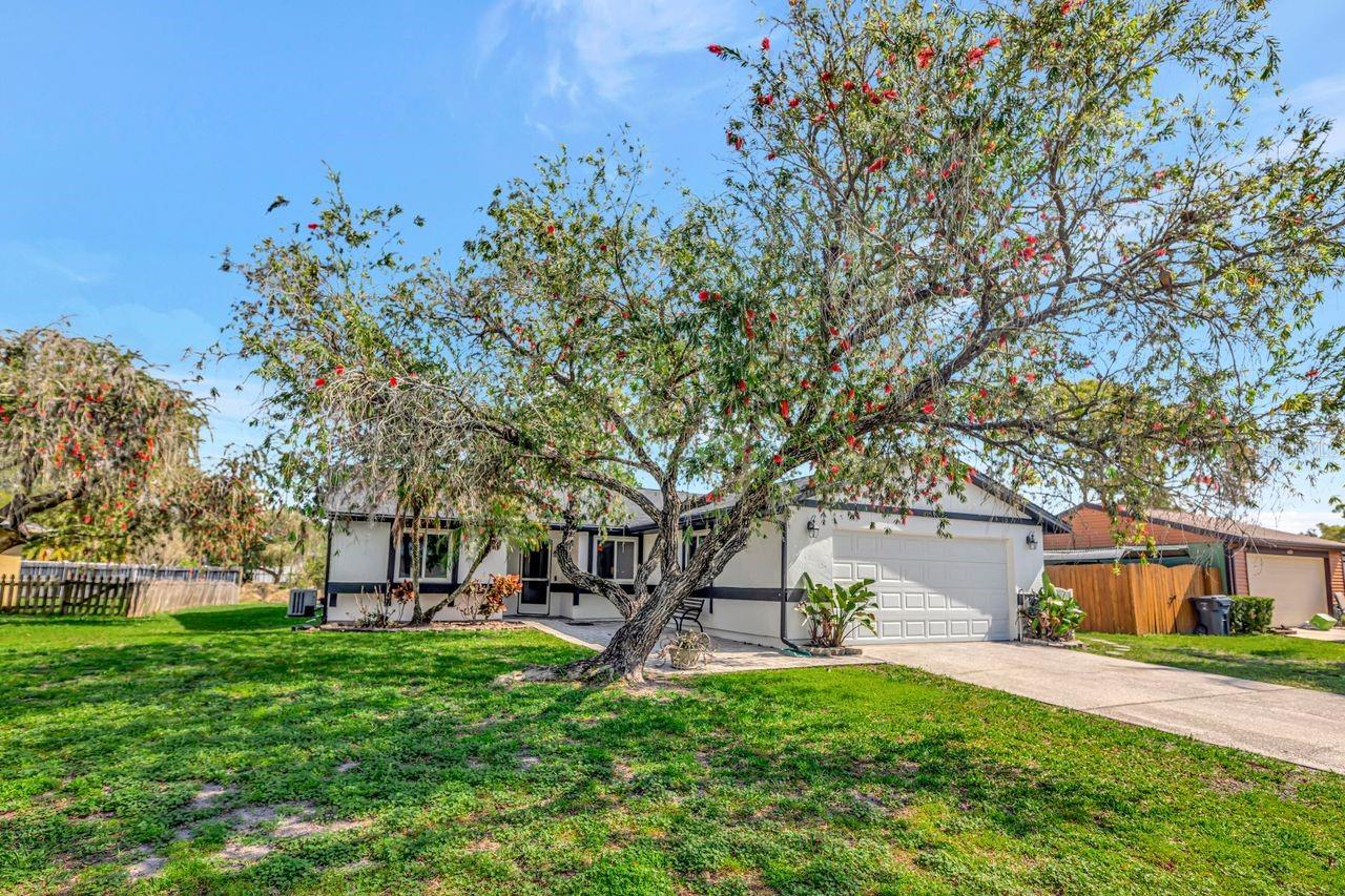 435 Lakeview Drive, FL