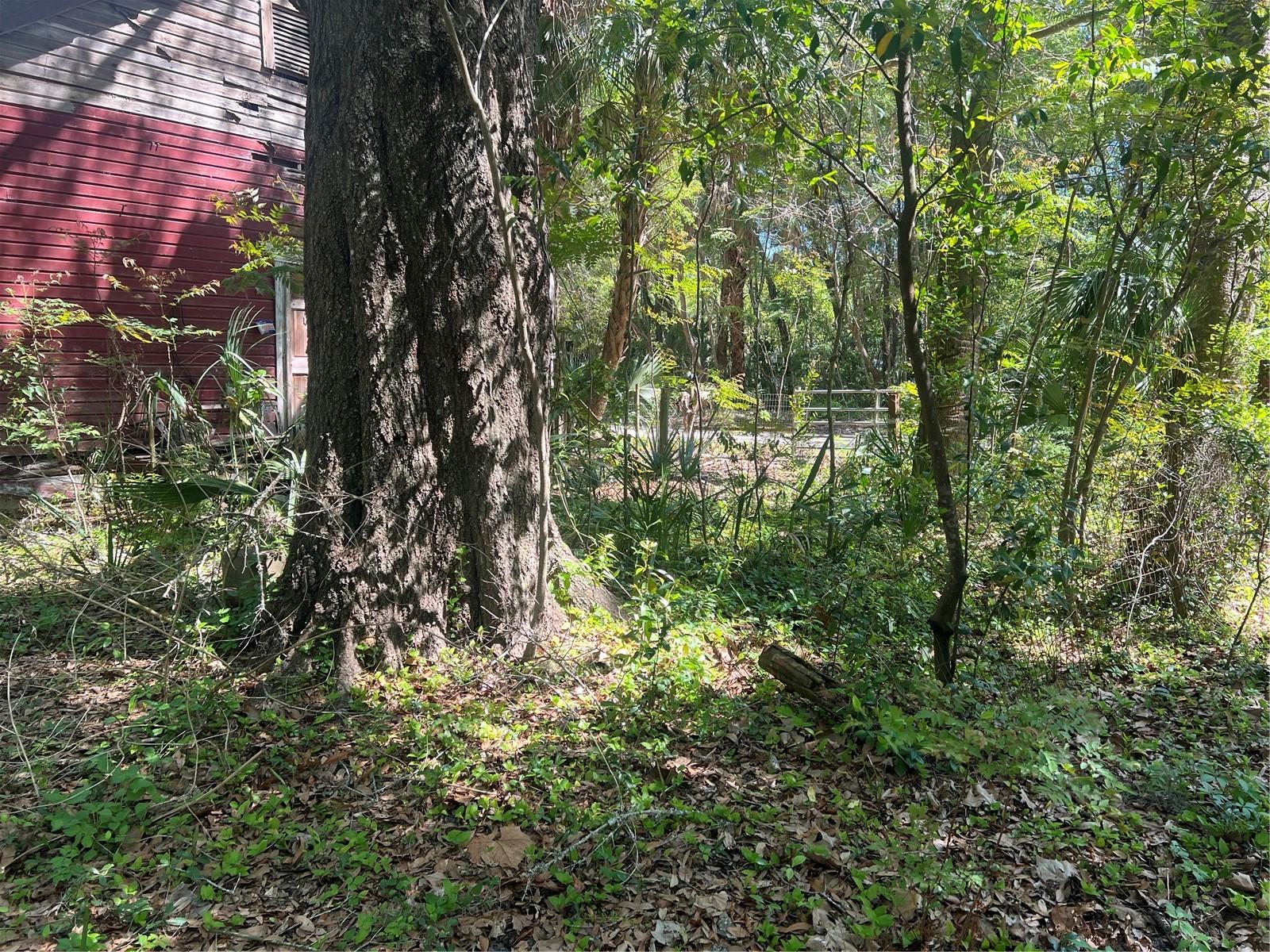 Tbd Se 2 St, FL