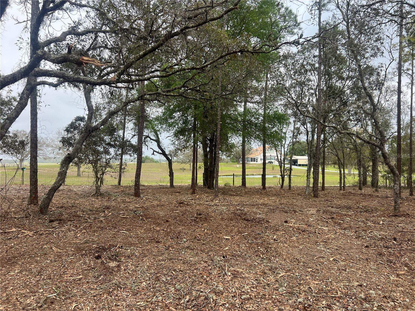 Lot 25 Sw Timberlake Rd, FL