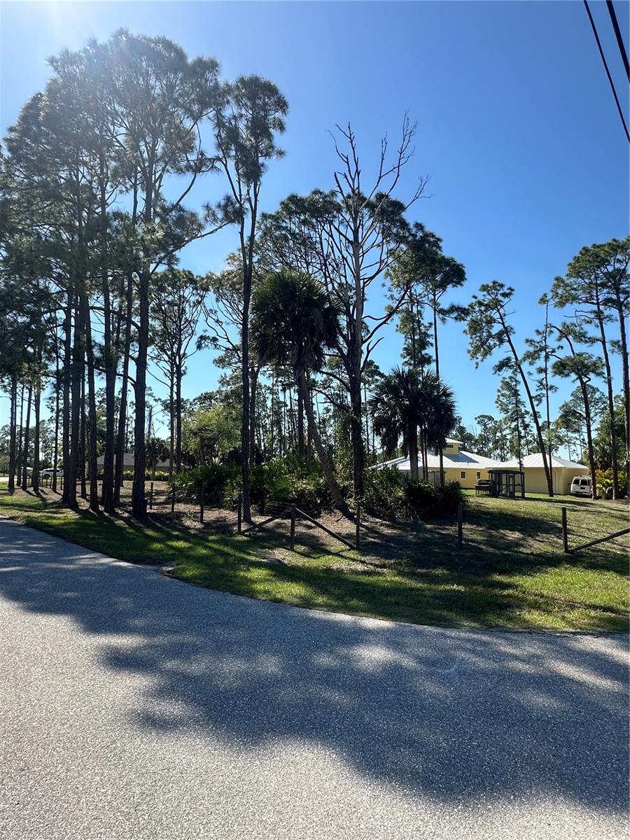 Pinewood Street, FL