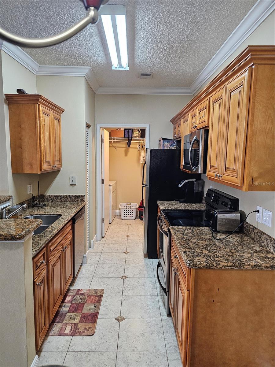 2504 Grassy Point Drive, FL