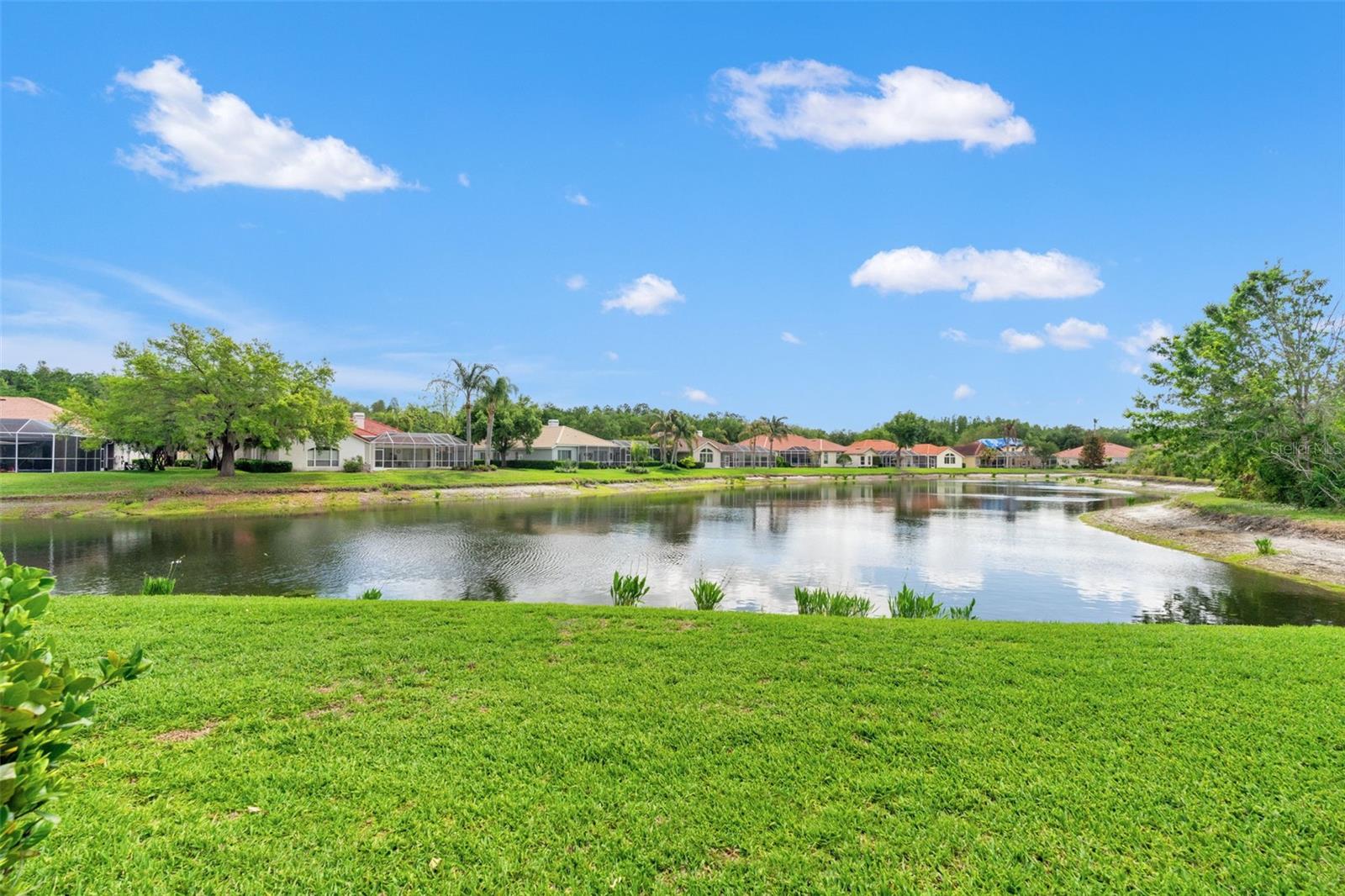17905 Arbor Greene Drive, FL