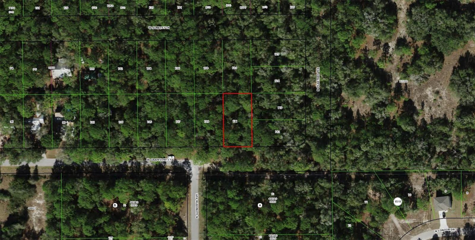2797 W Grapevine Ct, FL