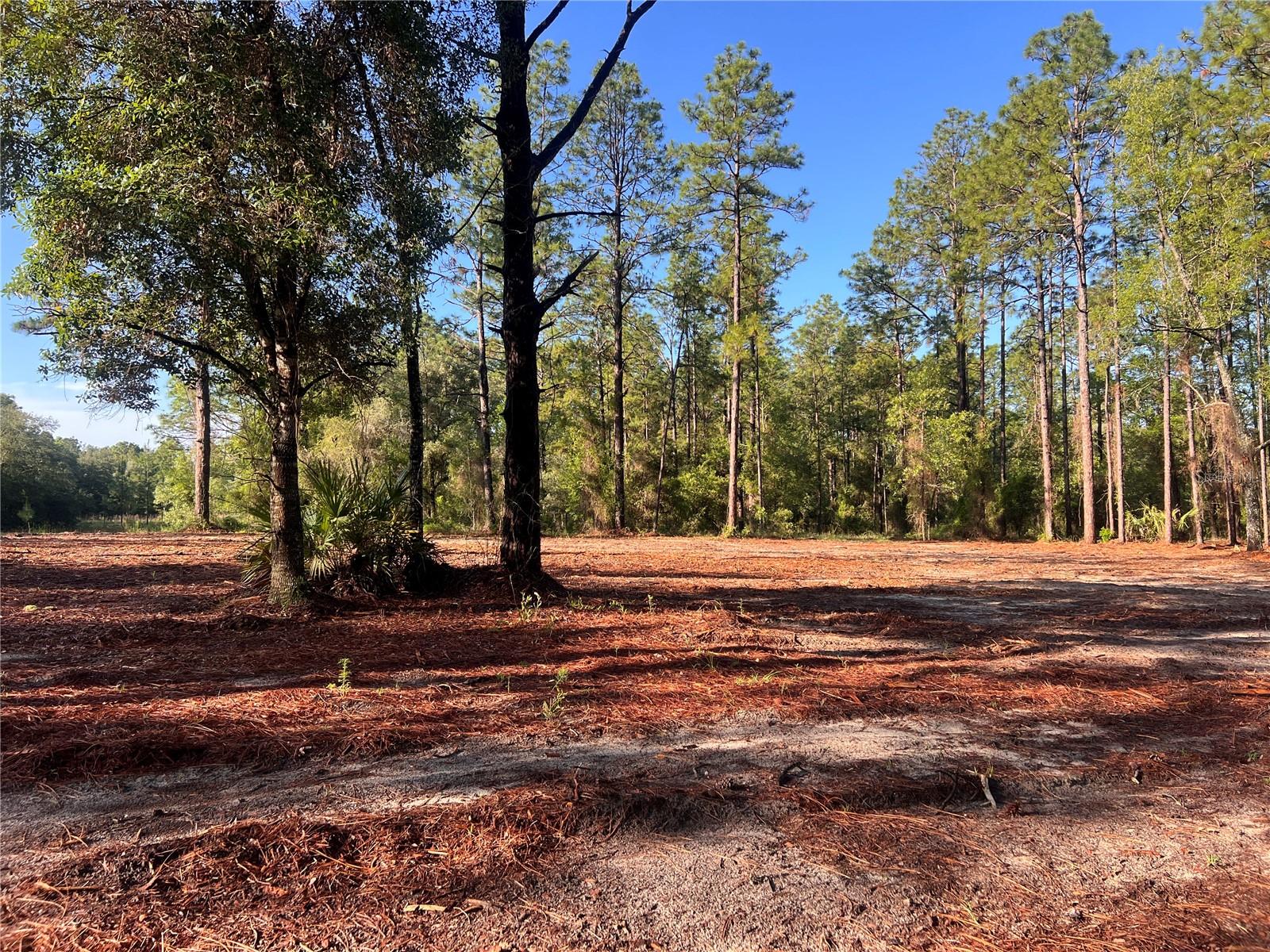 24 Se 130 Ct, FL