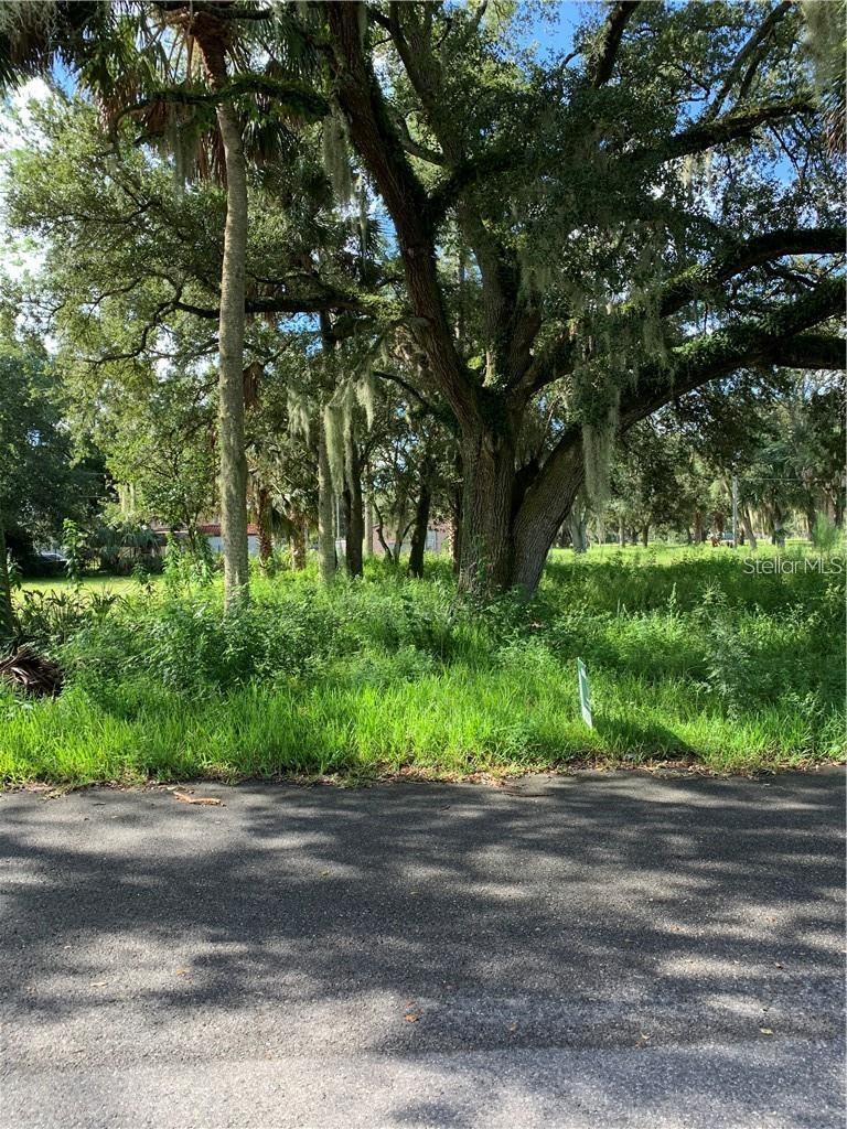 W 7th Street, FL