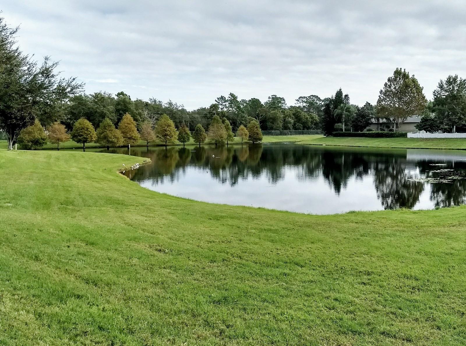 5373 Red Leaf Court, FL