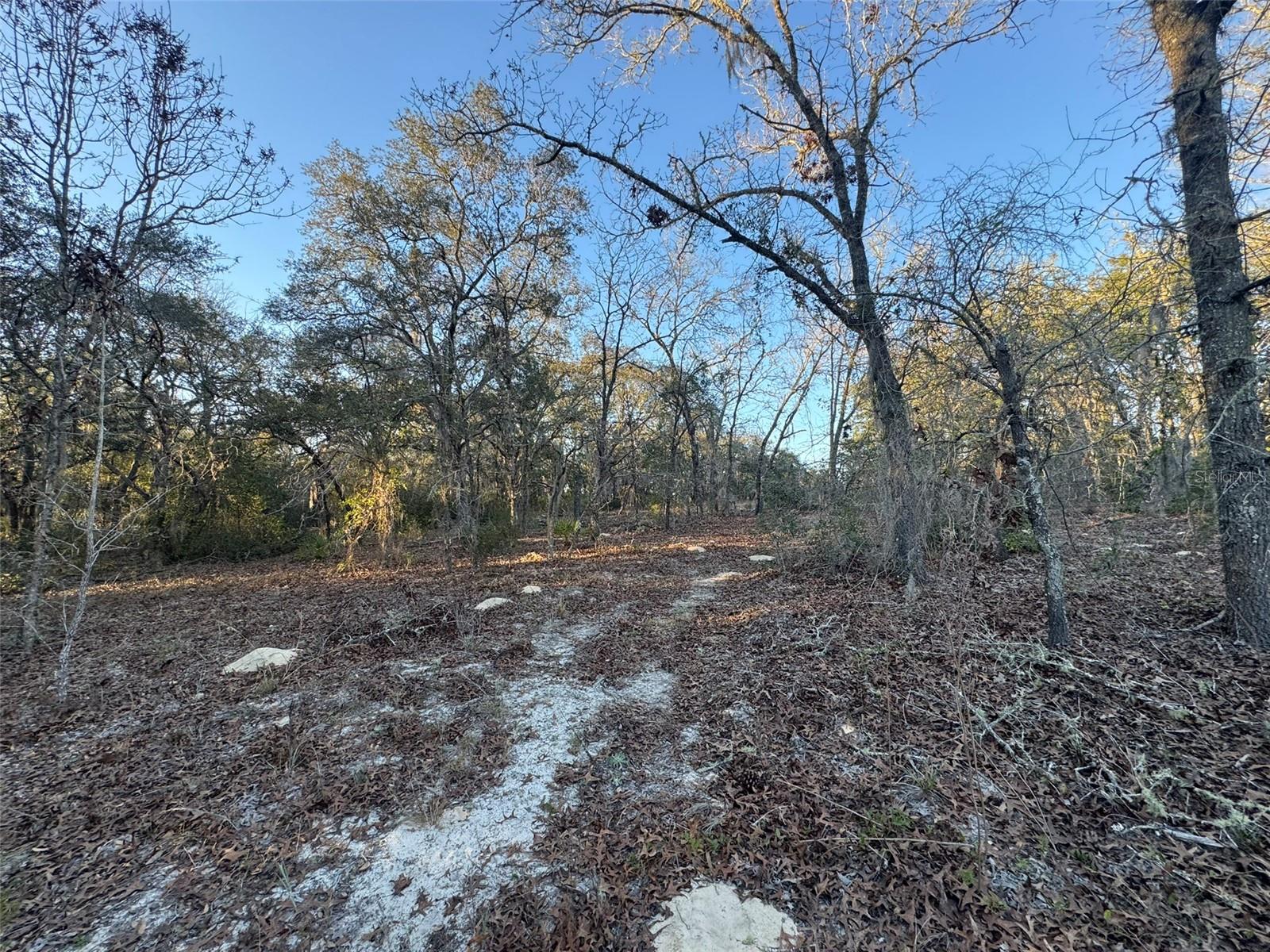 0 147th Street Road, FL