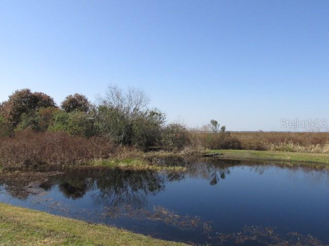 Kissimmee Park Road, FL