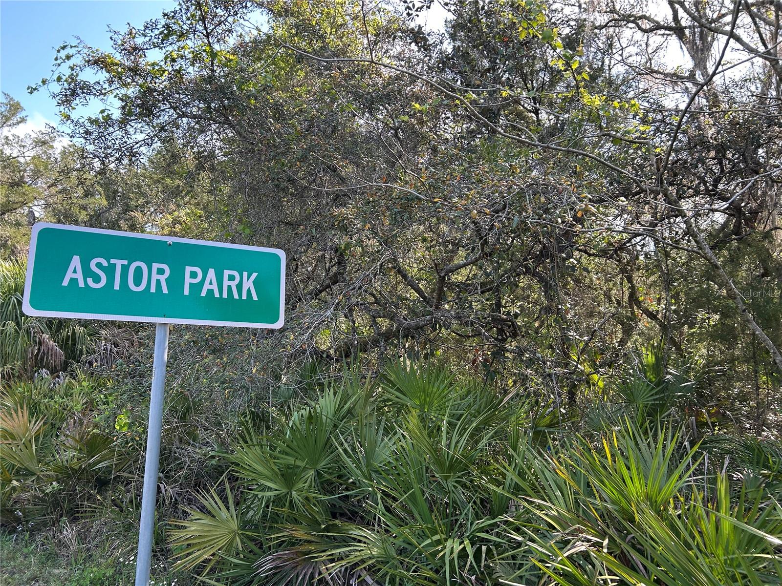 County Road 445a, FL