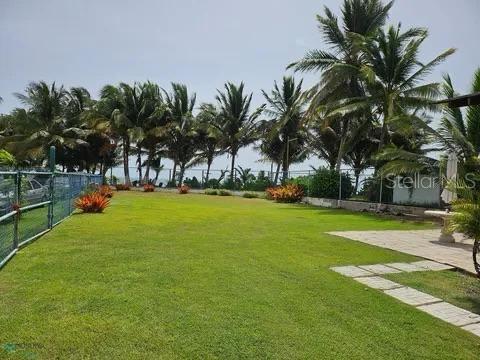 Las Picuas Beach Bo. Zorzal Orchard, PR