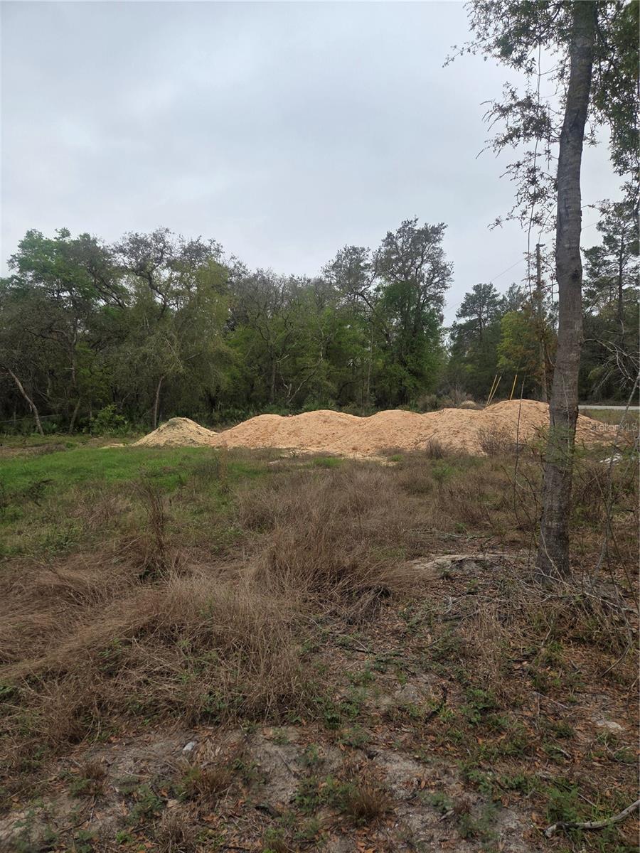 127 Sequoia Trail, FL