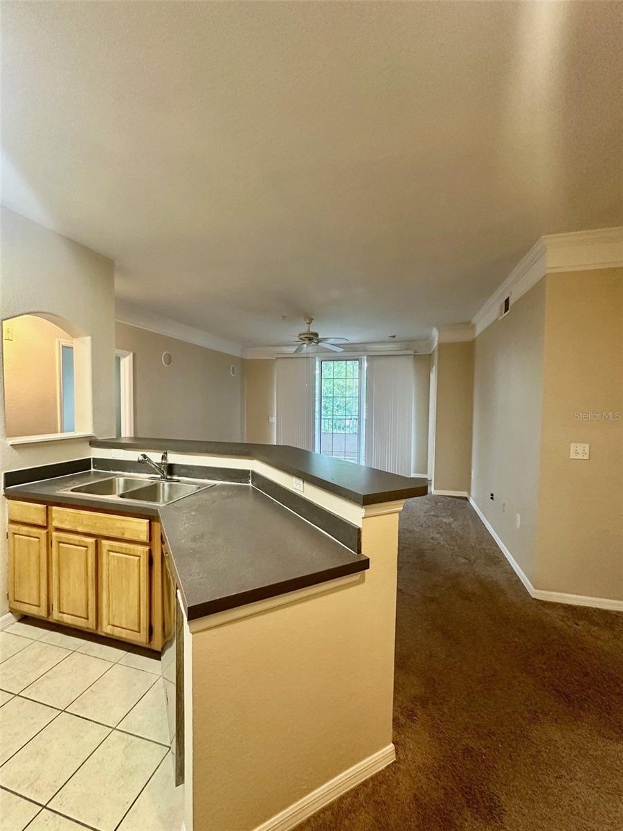 3250 Corona Village Way, FL