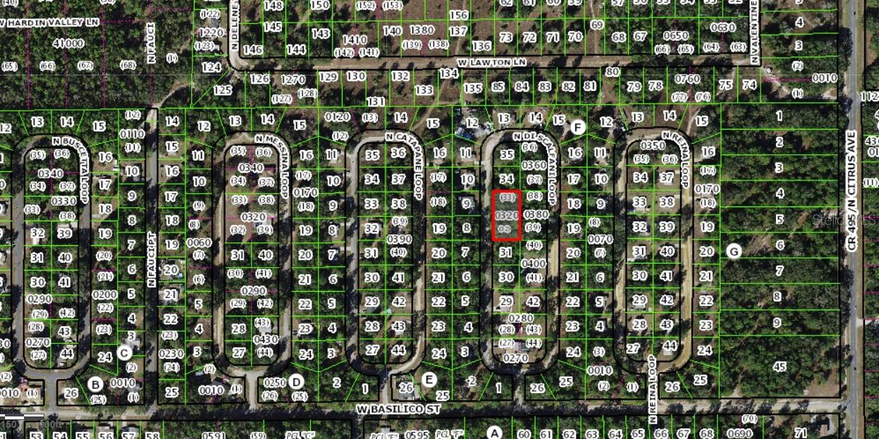 8646 Discalfani Loop, FL