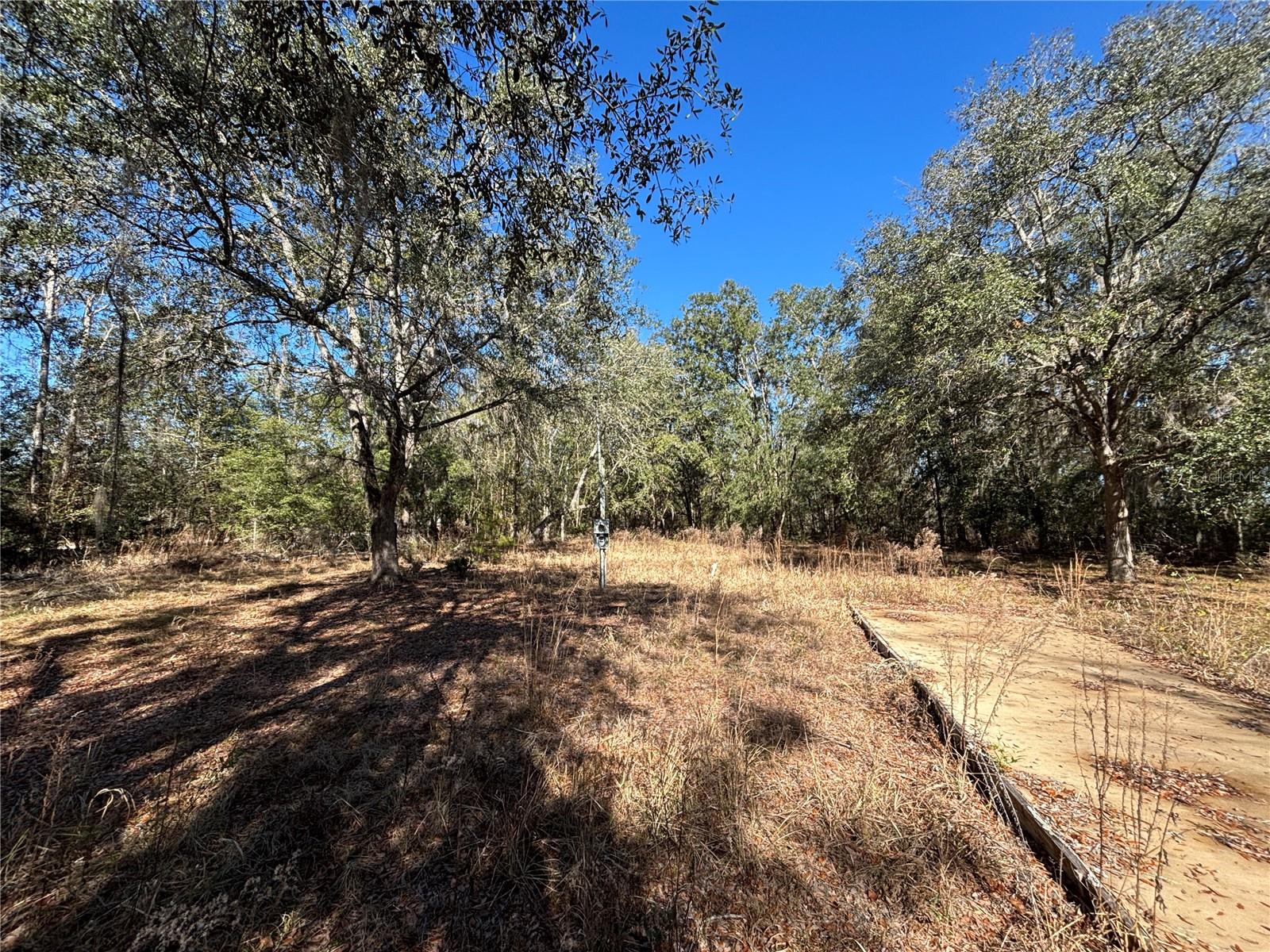 1077 Hamp Farmer Road, FL