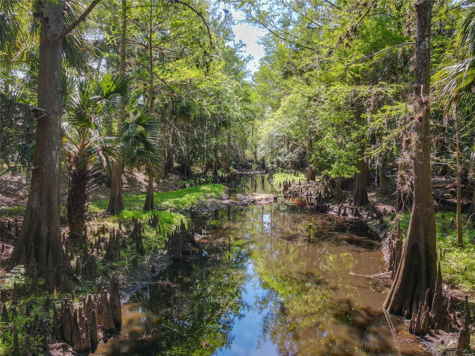 1501 Ashby Creek Road, FL