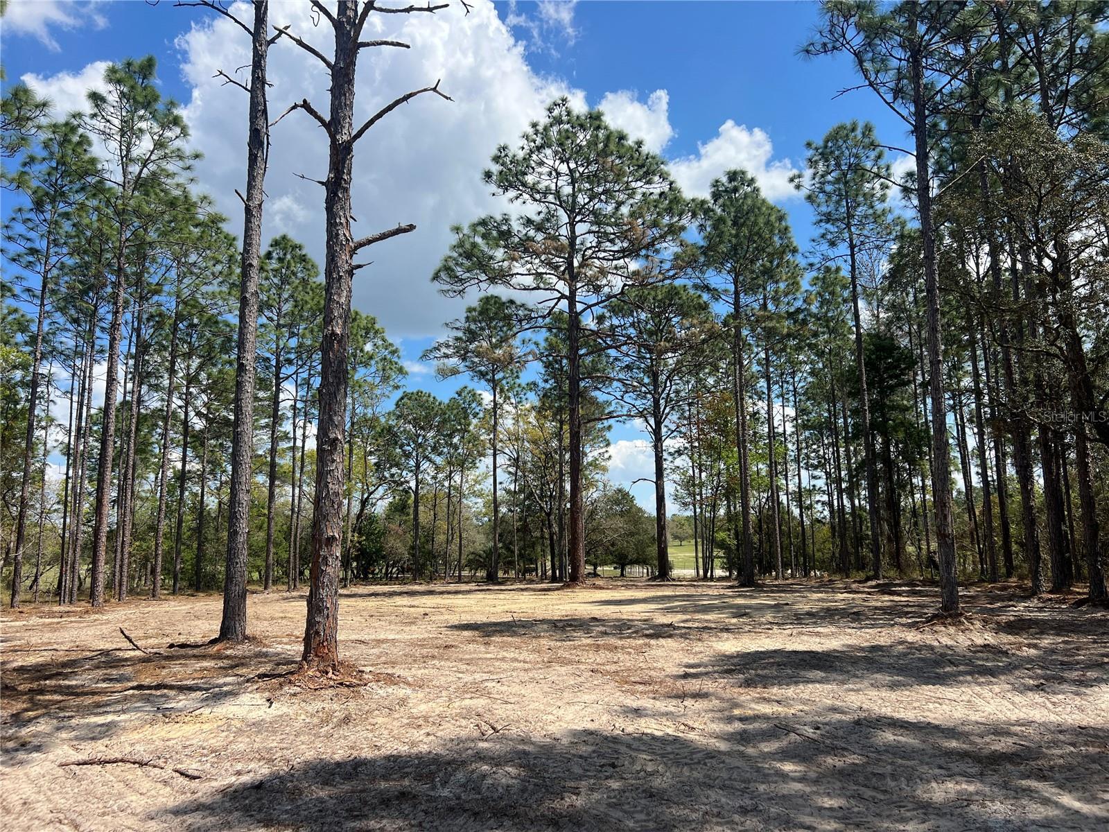 16 Se 136 Ter, FL