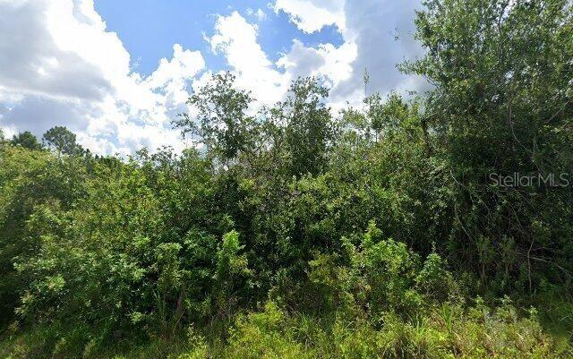 2336 Drennon Street, FL