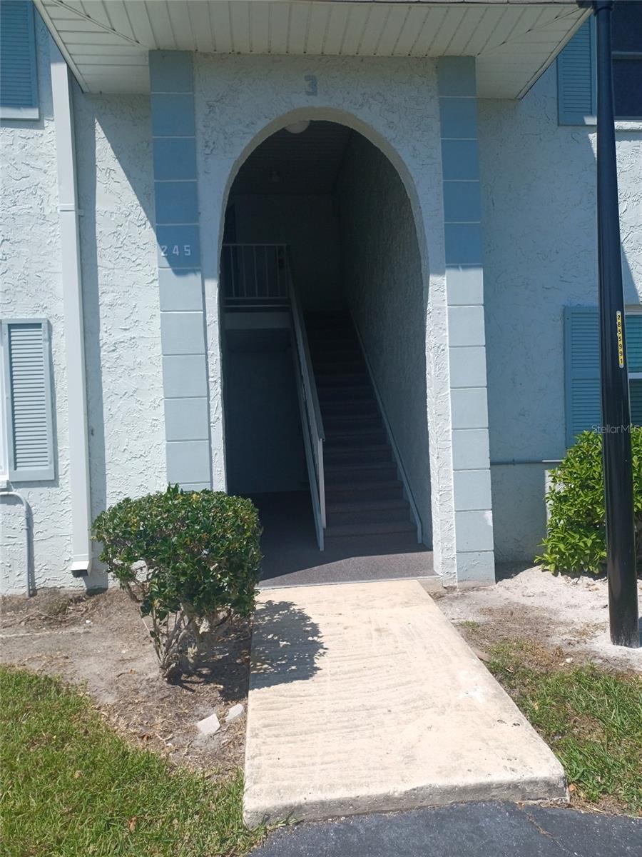 245 Mcmullen Booth Road, FL