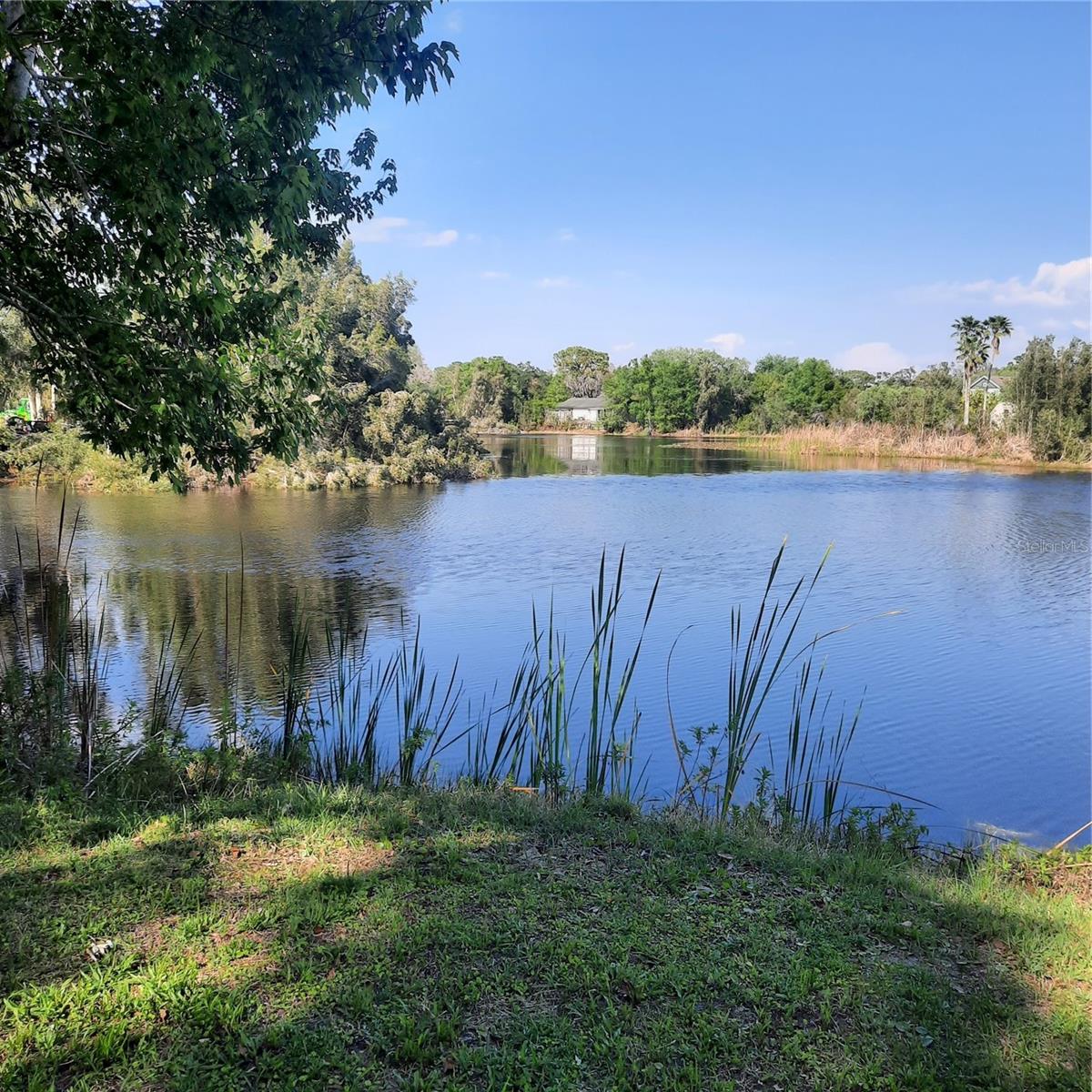 10502 Hinds Place, FL