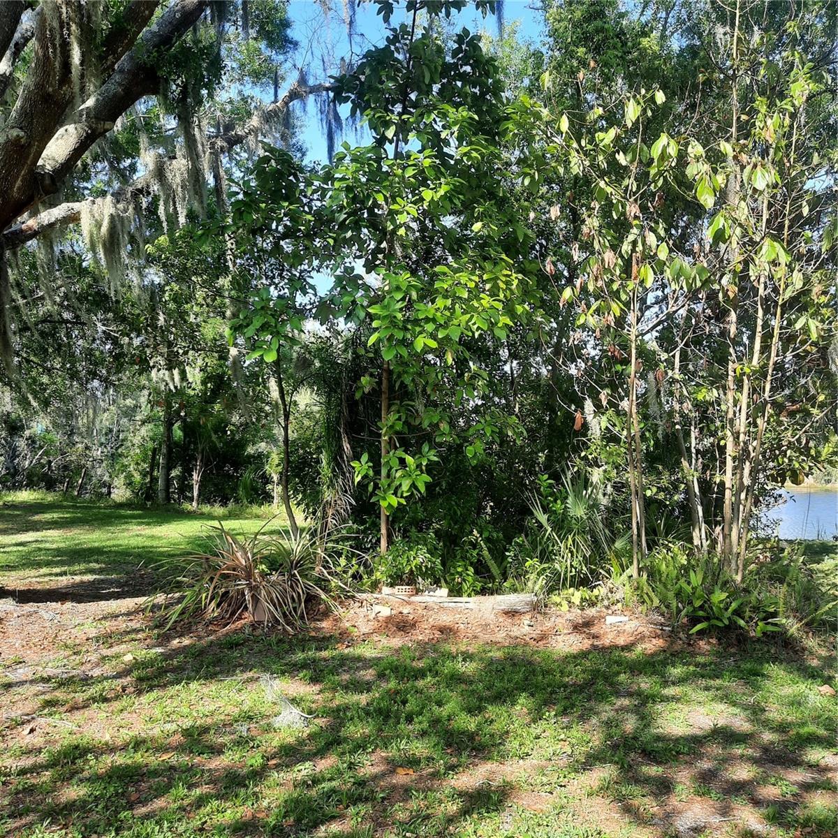 10502 Hinds Place, FL